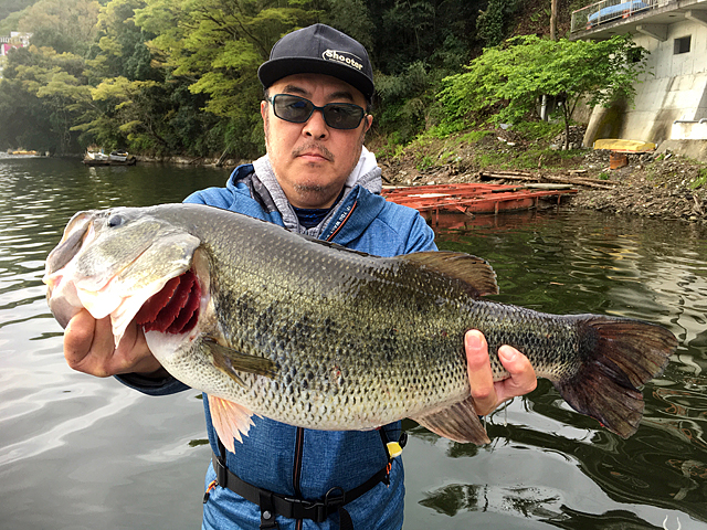 相模湖 バス 釣り ボート