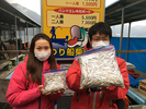 ワカサギ釣果