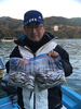ワカサギ釣果