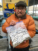 ワカサギ釣果