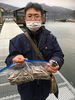 ワカサギ釣果