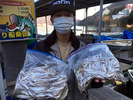 ワカサギ釣果