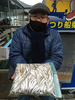 ワカサギ釣果