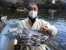 ワカサギ釣果