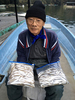 ワカサギ釣果