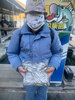 ワカサギ釣果