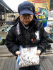ワカサギ釣果