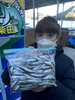 ワカサギ釣果