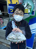 ワカサギ釣果