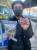ワカサギ釣果