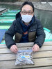 ワカサギ釣果