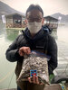 ワカサギ釣果