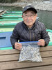 ワカサギ釣果