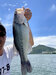 ブラックバス釣果