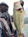 ブラックバス釣果