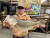ブラックバス釣果