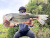 ブラックバス釣果