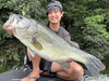 ブラックバス釣果