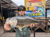 ブラックバス釣果